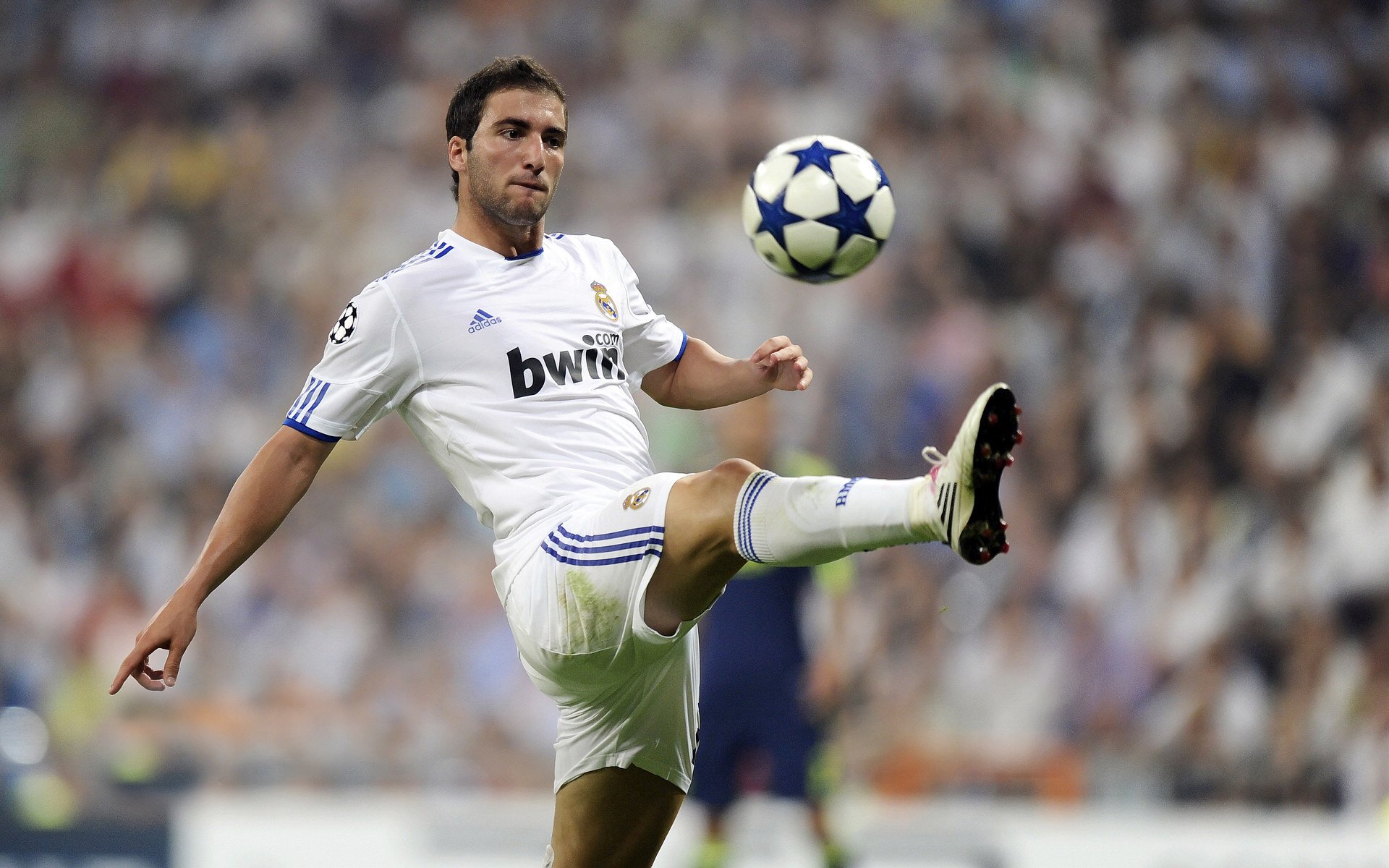 “萨尔·巴赫的战术眼光:南非羚羊队的智囊人物”